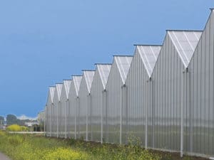 greenhouses industries